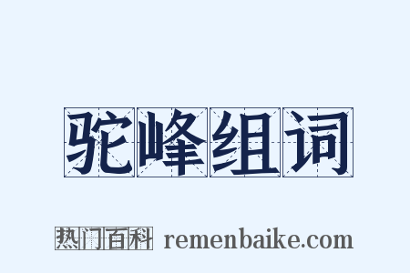 驼峰组词是什么意思的图片